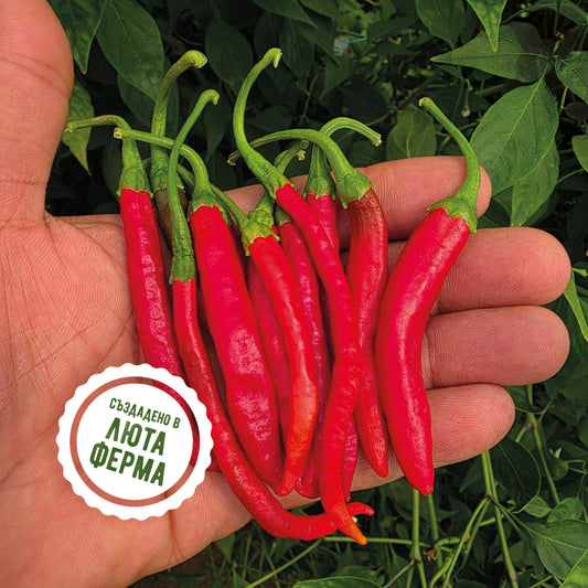 Кайен (Кайенски пипер) - пресни чушки