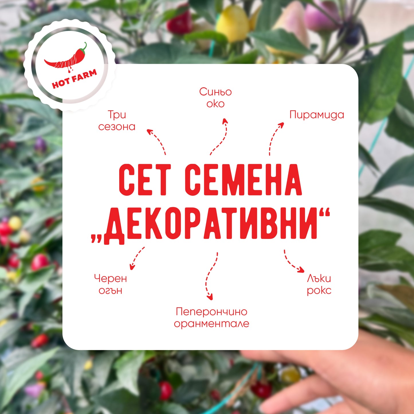 Сет Семена "Декоративни"