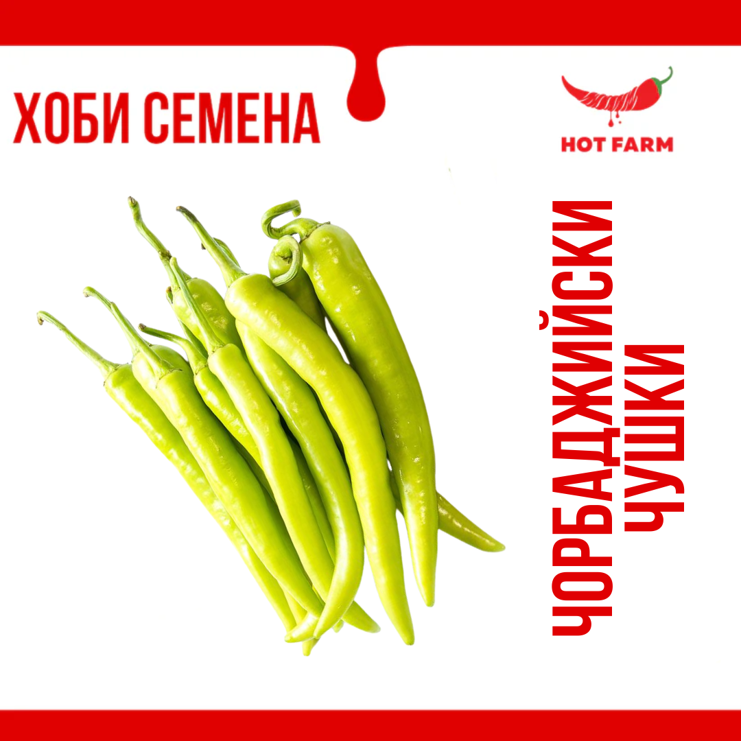 Seeds of Chorbadzhi peppers