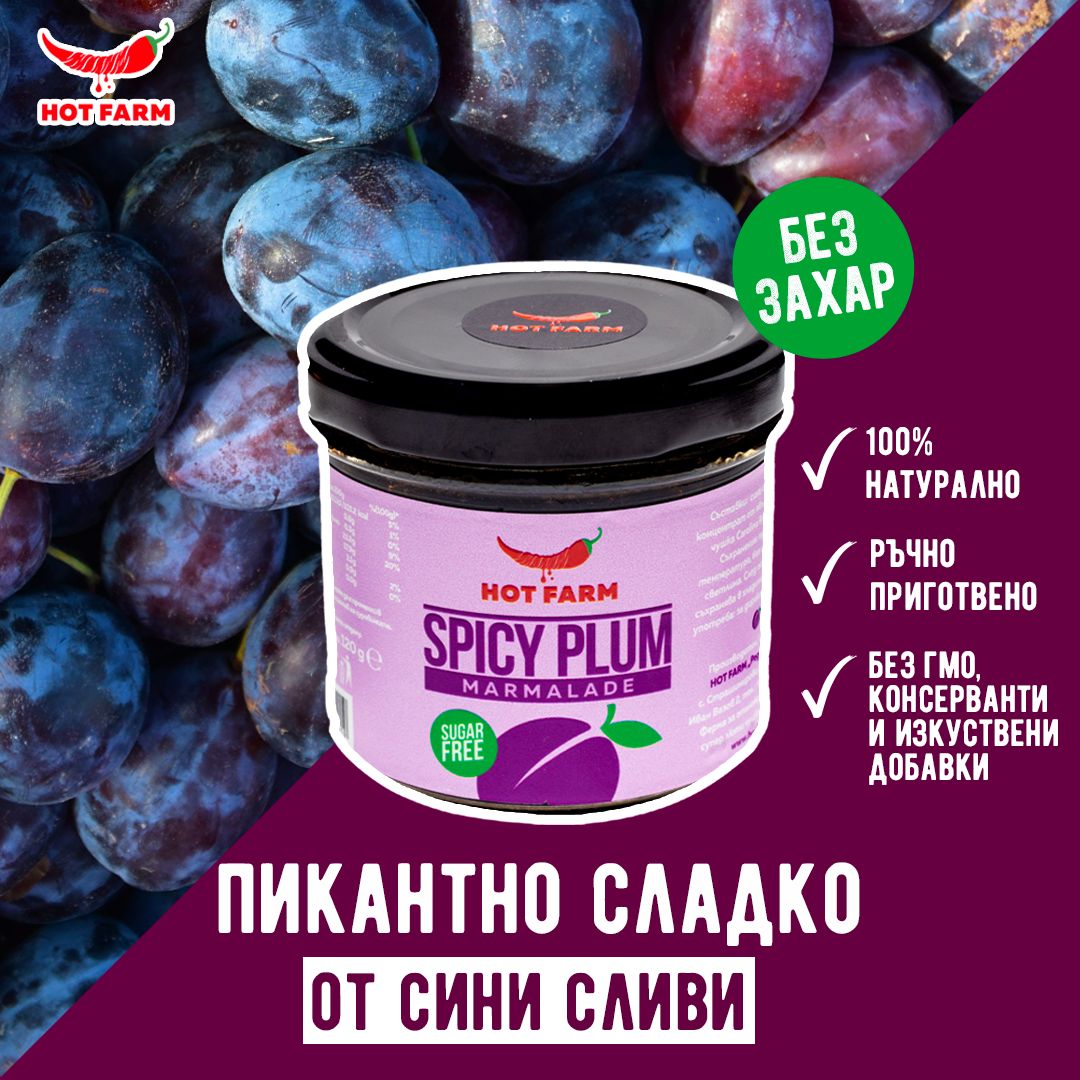 Domashno sladko ot sinya sliva
