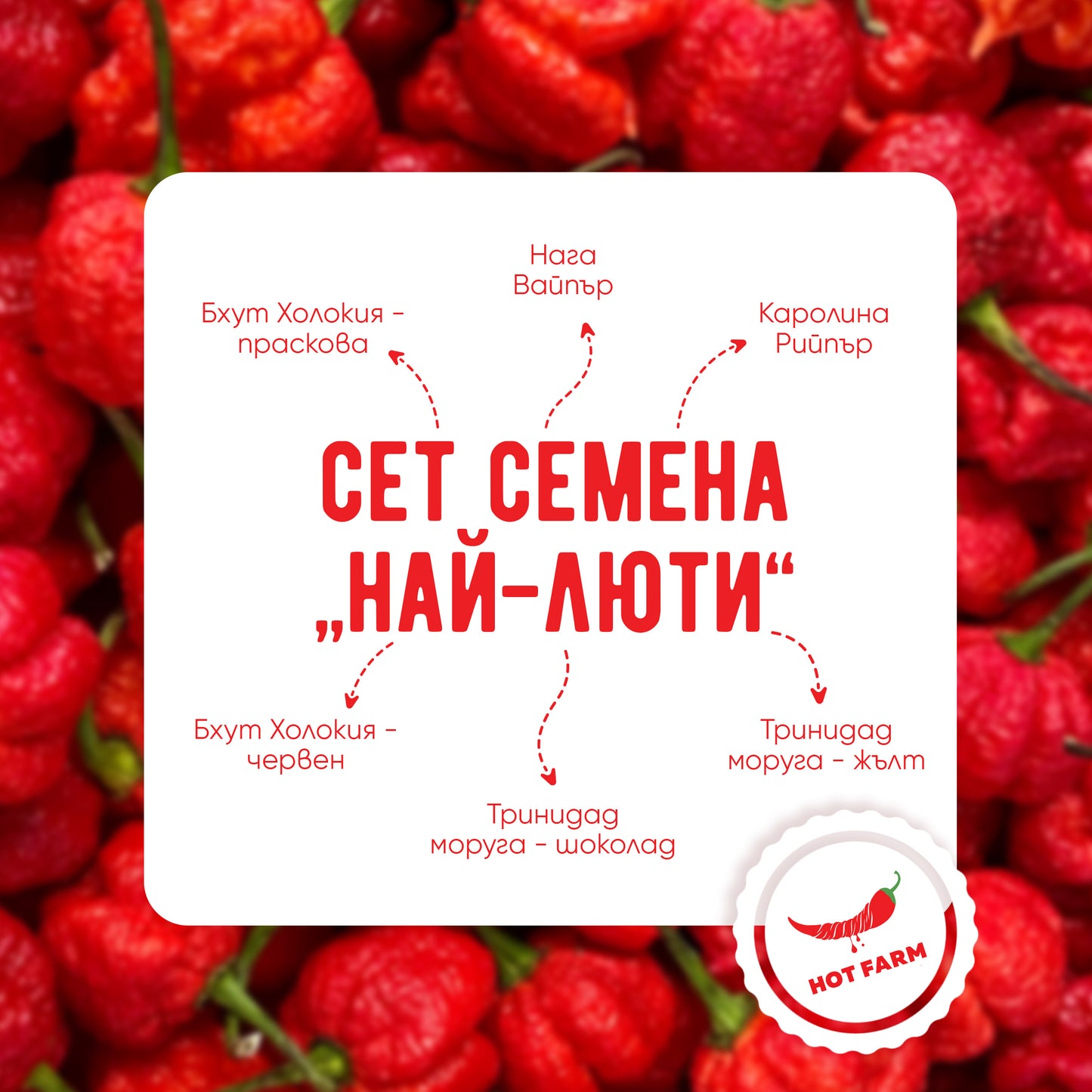 Seth Seeds "The Hottest"