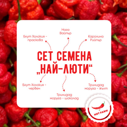 Сет Семена "Най-люти"