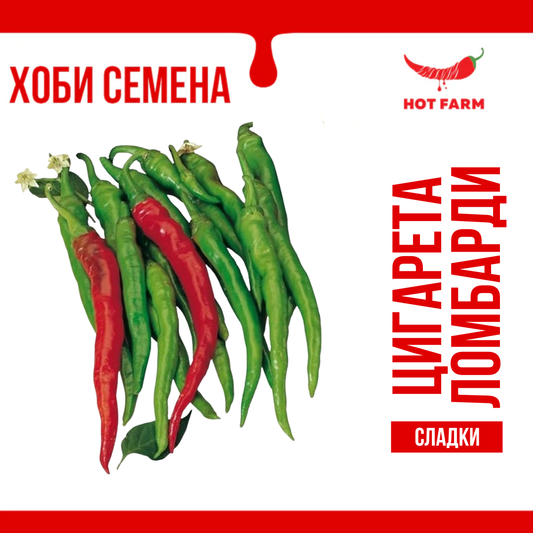 Семена Цигарета ди Ломбарди