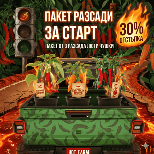 Разсади "Старт": Български морков, Лесковачка джинка и Кайен