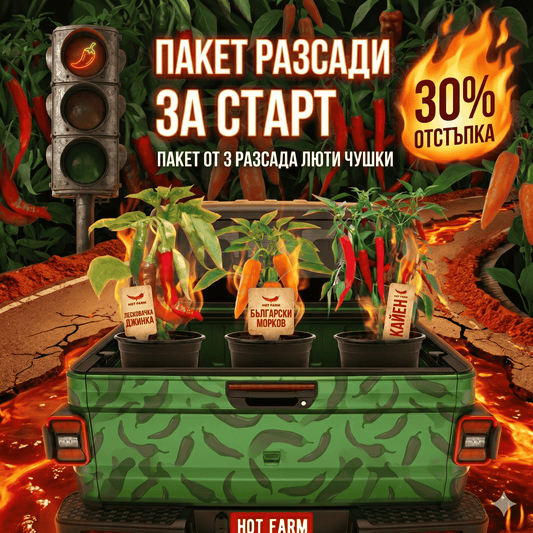 Разсади "Старт": Български морков, Лесковачка джинка и Кайен