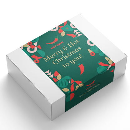 Christmas Gift Box 