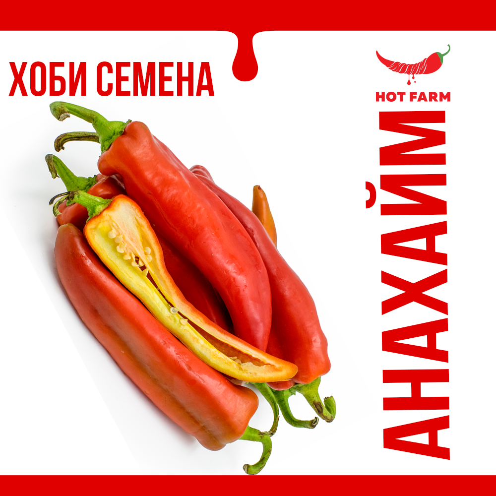 Anaheim chili seeds for growing large, high-yielding peppers, perfect for roasting and versatile culinary use.