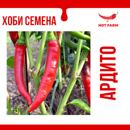 Семена Ардито
