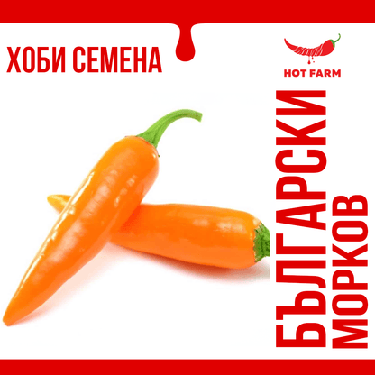 Seeds of Bulgarian Carrot chili, a medium-hot pepper with a bright orange color and carrot-like shape, grown in Bulgaria.