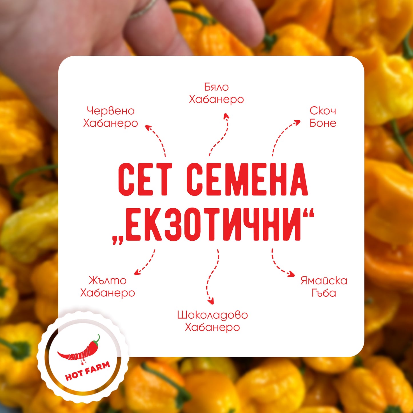Сет Семена "Екзотични"