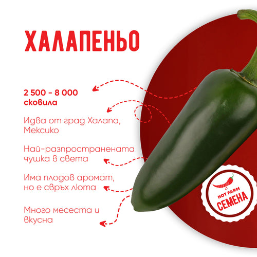 Семена Халапеньо