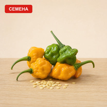 Семена "Ямайска Гъба"