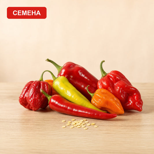 Сет Семена "Балкански"