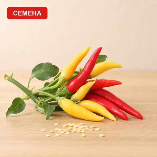 Семена Люти Чушки "Фуоко Делла Пратерия"