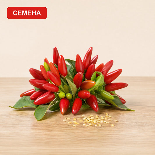 Семена Пиперончино Етна