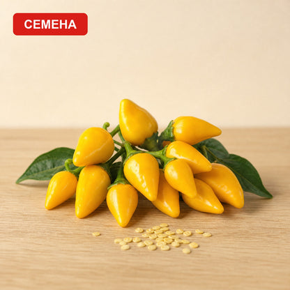 Семена Пиперончино Тимор