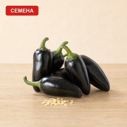 Семена Черен Огън