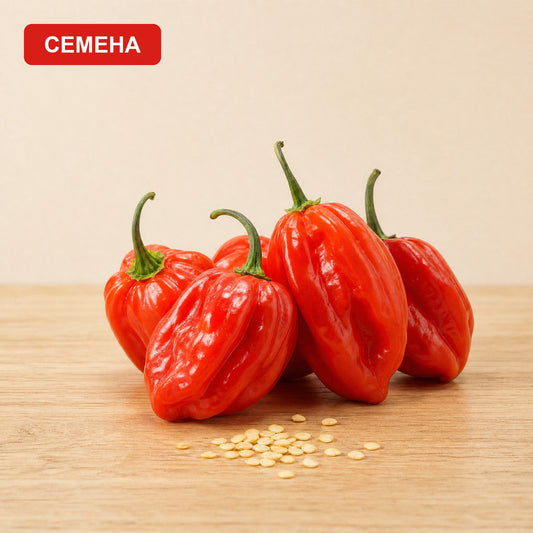 Семена Червено Хабанеро