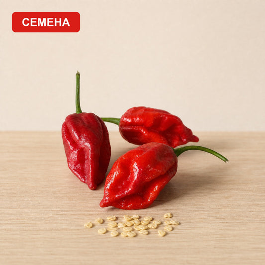 Семена Нага Вайпър