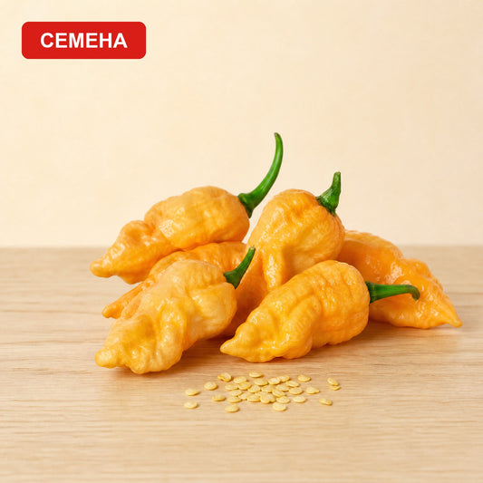 Семена Бхут Холокия Праскова (Ghost Pepper)