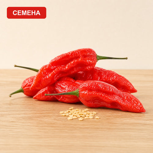 Семена Бхут Холокия (Ghost Pepper)