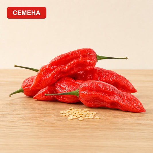 Семена Бхут Холокия (Ghost Pepper)