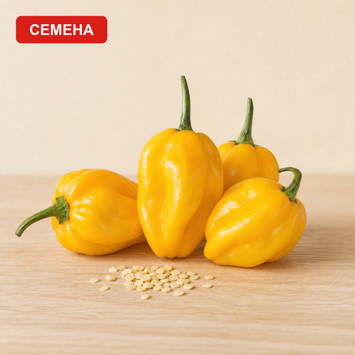 Семена Жълто Хабанеро