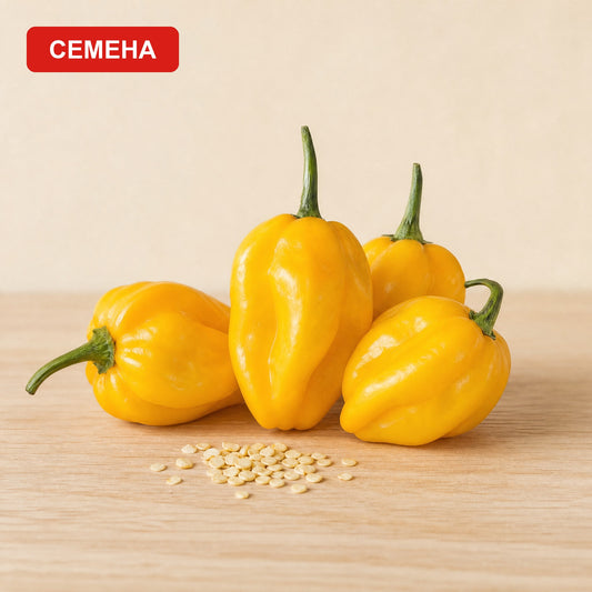 Семена Жълто Хабанеро