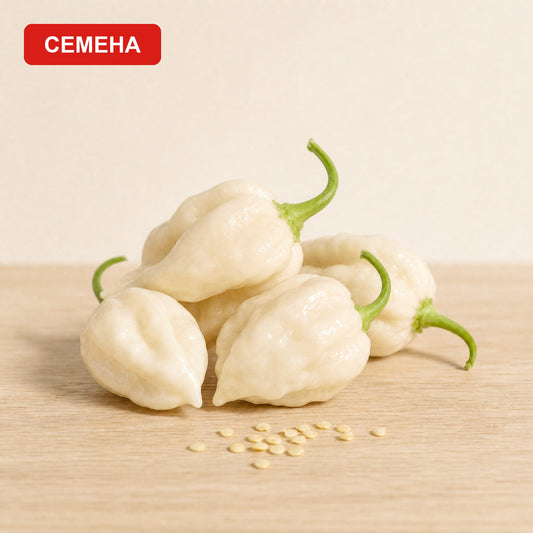 Семена Бяло Хабанеро