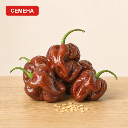 Семена Шоколадово Хабанеро