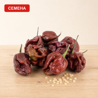 Семена Тринидад Моруга Шоколад