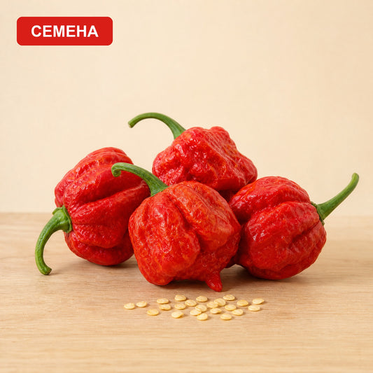Семена Български дух / Bulgarian sence