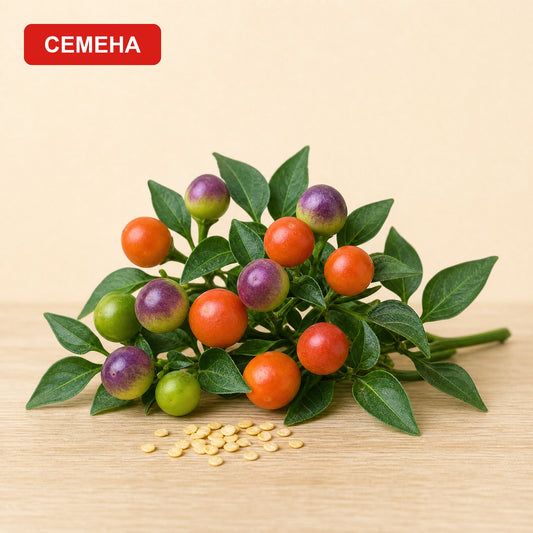 Семена Лъки Рокс