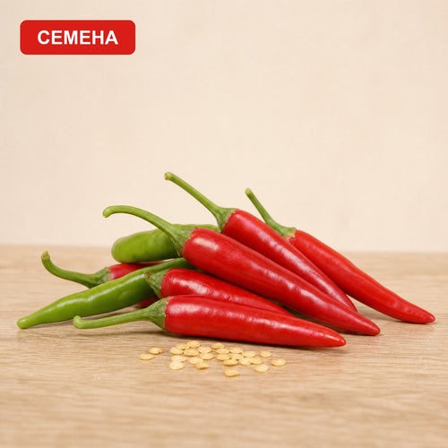 Семена Белруби