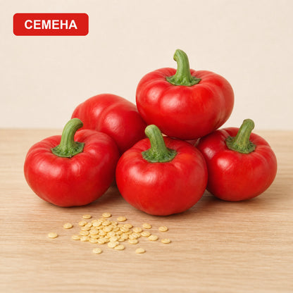 Семена Камбички Калабрезе