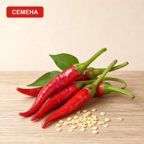 Семена Ардито