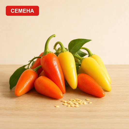 Семена Нумекс Пината - Оранжев