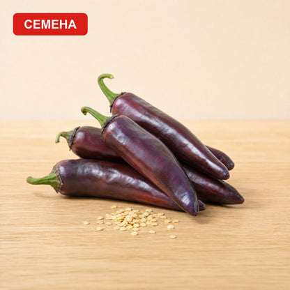 Семена Пурпурно Серано до тъмнолилави издължени чушки