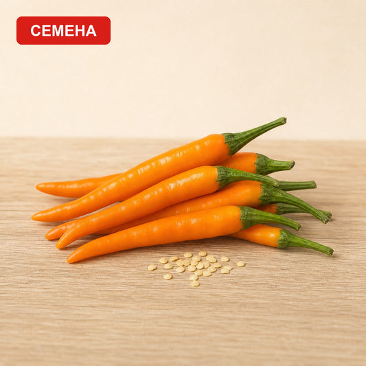 Семена Килиан
