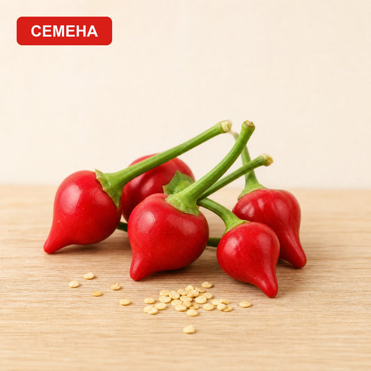 Семена Камбанки