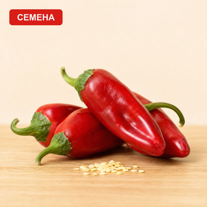 Семена Мирасол до лъскави червени издължени чушки