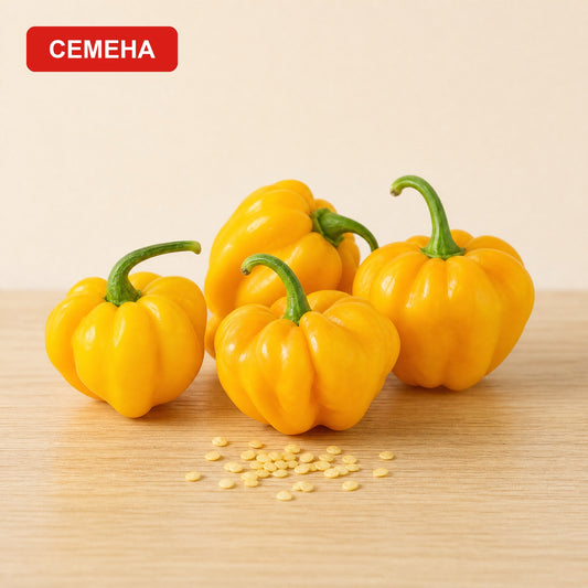 Семена Скоч Бонет - жълт