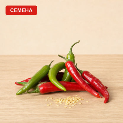 Семена Рокита