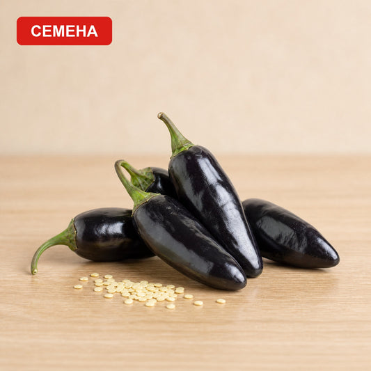 Семена Найде