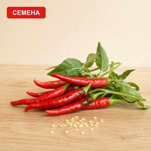 Семена Цигарета ди Бергамо
