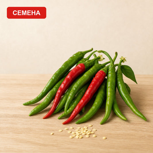 Семена Цигарета ди Ломбарди