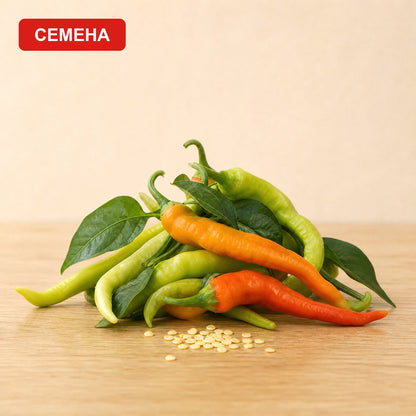Семена Чорбаджийски чушки - оранжеви
