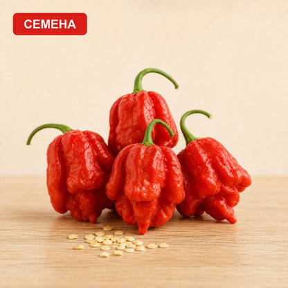 Семена Тринидад Моруга Скорпион  Червен