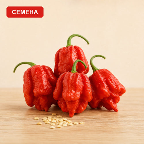 Семена Тринидад Моруга Скорпион  Червен