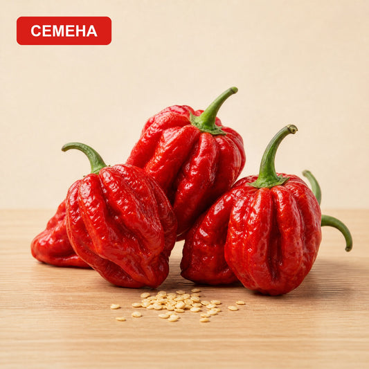 Семена Каролина Рийпър / Carolina Reaper